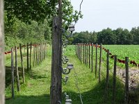 DSC00599