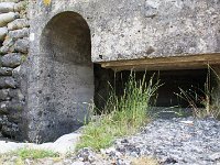DSC01626