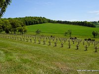 DSC00807
