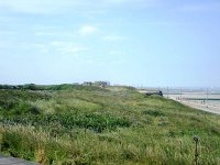 DSC00834