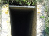 DSC00846