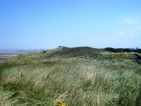 DSC00883