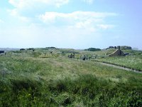 DSC00885