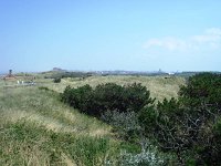DSC00932