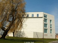 DSC05993