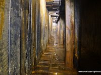 DSC00624