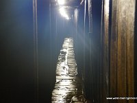DSC00653
