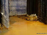 DSC00684