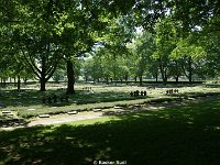 DSC01509