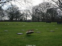 DSC00484