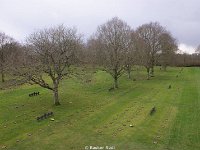 DSC00495