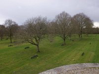 DSC00500