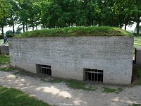 DSC05254