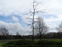 DSC08534