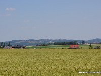 DSC03533