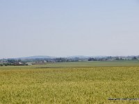 DSC03534