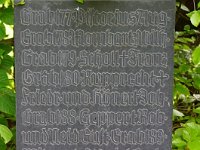 DSC00516