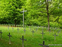 DSC00520