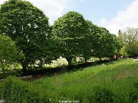 DSC05322
