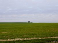 DSC05568