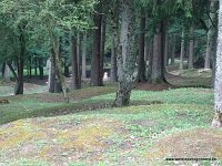 DSC02901