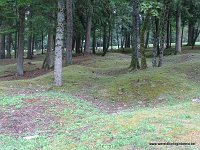 DSC02903