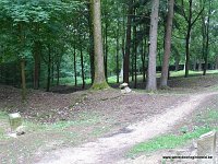 DSC02908