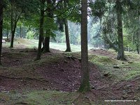DSC02911