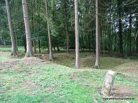 DSC02918