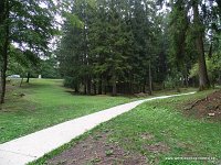 DSC02921