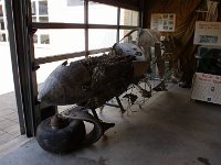 DSC06079