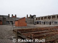 DSC03769