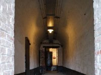 DSC03772
