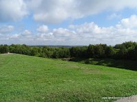 DSC02996