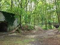 DSC05106
