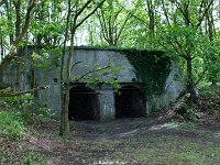 DSC05107