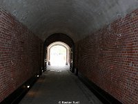 DSC05110