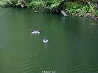 DSC05114