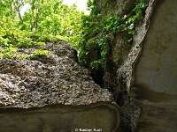 DSC05997