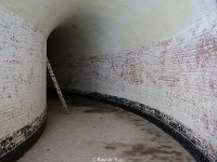 DSC06001