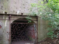 DSC06003