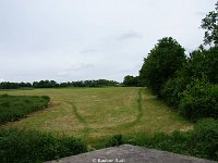 DSC01133