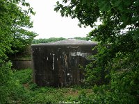 DSC01135
