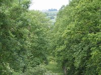 DSC07964