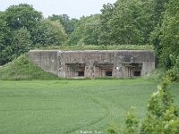 DSC07966