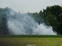 DSC07906