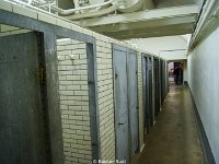 DSC08146
