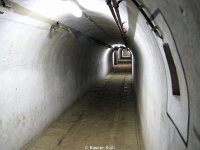 DSC08177