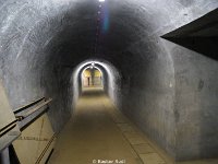 DSC08211