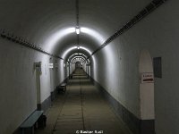 DSC08245